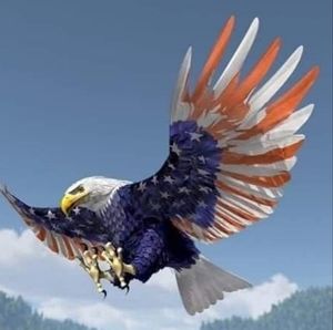 Meet your Posher, Joey